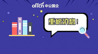 月薪3000-6000元加績效，無筆試計算機軟硬件開發崗位解析